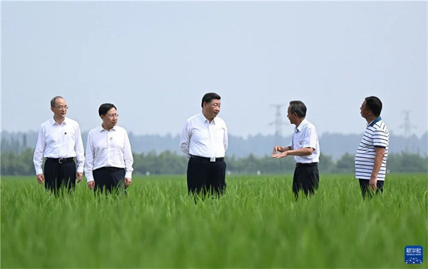 3.jpg 3.jpg